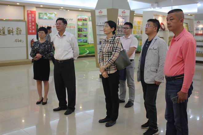 南寧市保穩定促發(fā)展第十一督導組第二督導小組蒞臨皇氏集團調研