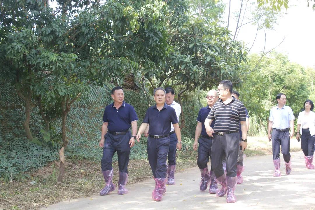 自治區政協(xié)副主席黃洲一行蒞臨皇氏集團摩拉菲爾奶水牛觀(guān)光牧場(chǎng)調研