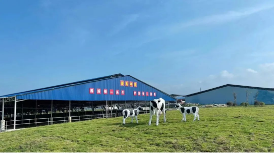 奶源建設再提速！田東縣皇氏奶業(yè)示范區正式投產(chǎn)！