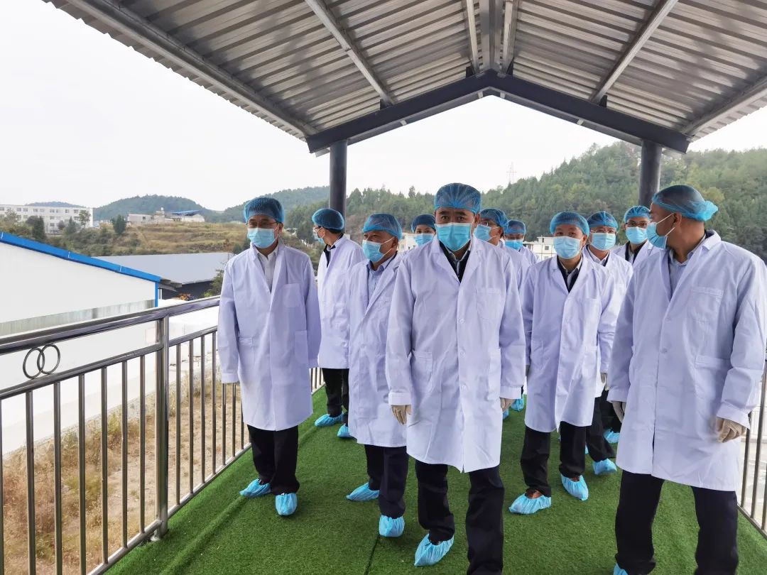 貴州省人大常委會(huì )副主任桑維亮蒞臨皇氏集團遵義乳業(yè)德江德源牧場(chǎng)調研